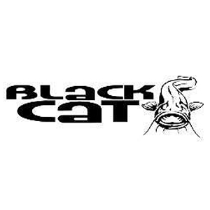 Black Cat