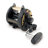 Zee Reels Zee Reels