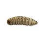 8193Thropy_Baits_Mummy_Worms_White thumbnail