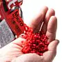 Fjuka_2in1_Micro_Red_1 thumbnail