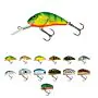 Salmo_Hornet_3cm_Floating thumbnail