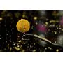 Sticky_The_Krill_Active_Wafters_2 thumbnail