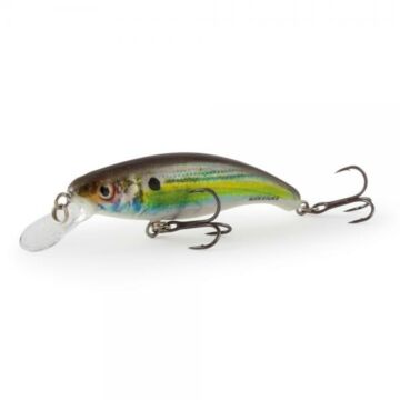 7262Salmo_Slick_Stick_6cm_Floating