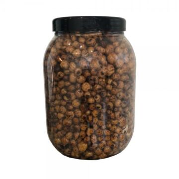 7402Eurotackle_Tigers_2L