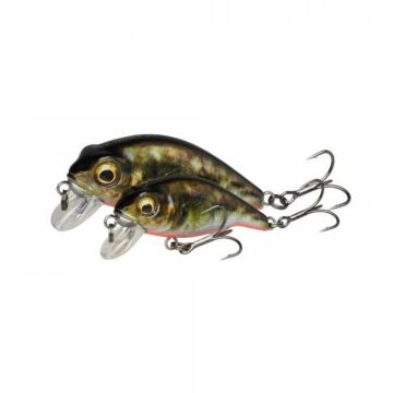 Savage_Gear_3D_Goby_Crank_SR_4cm_3g_Floating