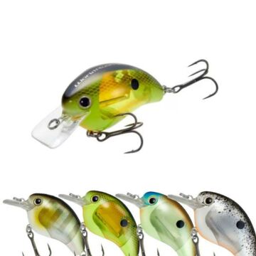 Shimano_Bantam_World_Rush_56F_FlashBoost_1