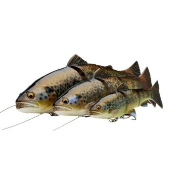 Savagear_4D_Line_Thru_Trout_20cm_SS_2