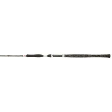Penn_Legion_Cat_Silver_Allround_2_70m_100_300g