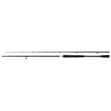 Shimano_Yasei_BB_AX_Pike_Spin_2_20m_20_60g