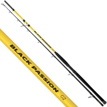 Black_Cat_Black_Passion_G2_Allround_2_70m_600g