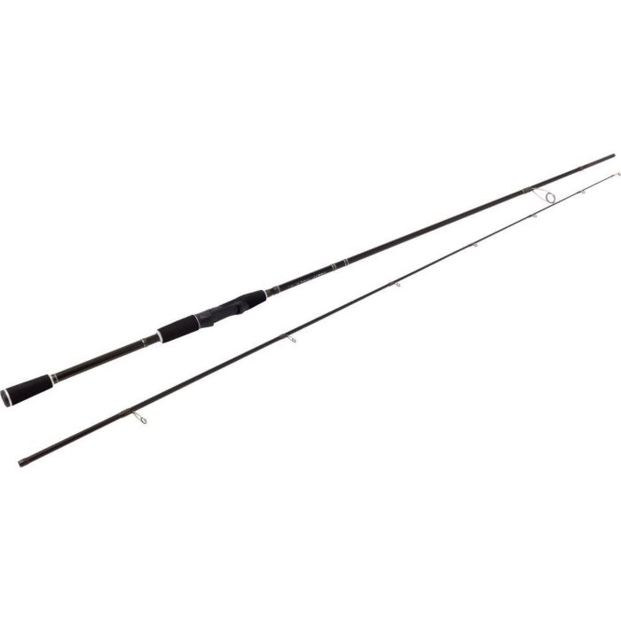 Westin_W2_Powerstrike_2_25m_ML_10_40g