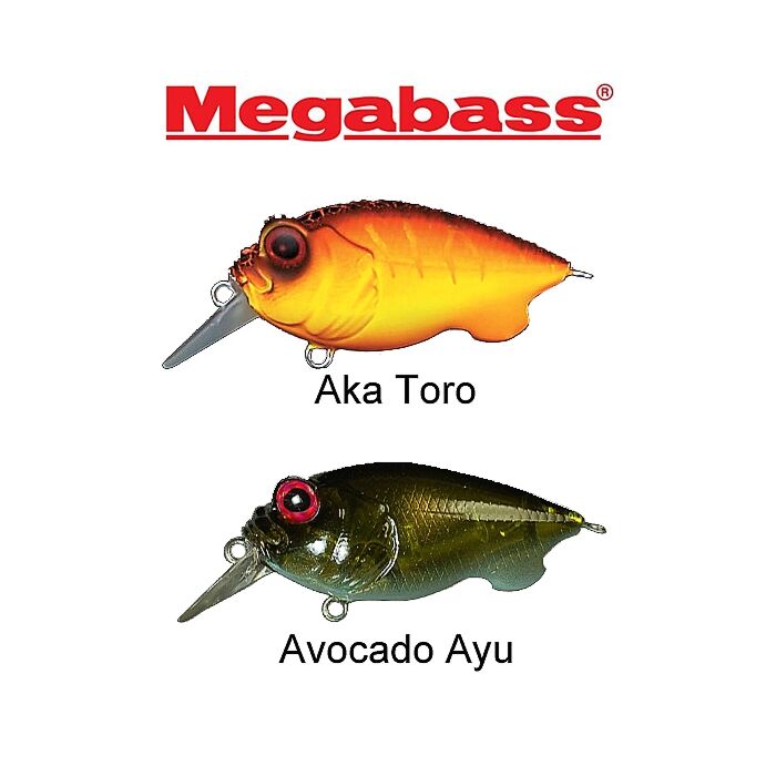 import import