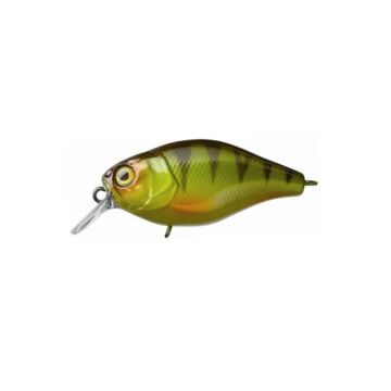 5095Illex_Cherry_44_Floating