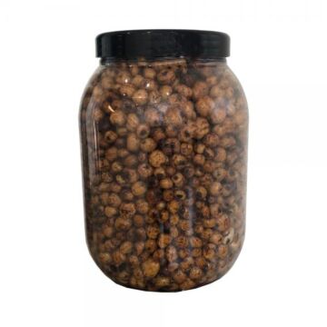 7402Eurotackle_Tigers_2L