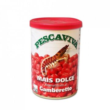 8147MAIS_285_gr___Giant_Prawn
