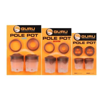 Guru_Pole_Pot__2